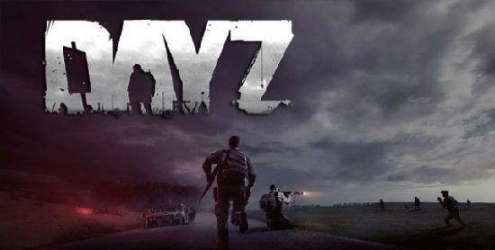 Dayz手機(jī)版截圖0